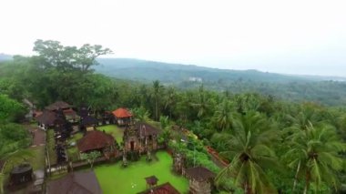 Tropikal ormanın güzel hava manzarası