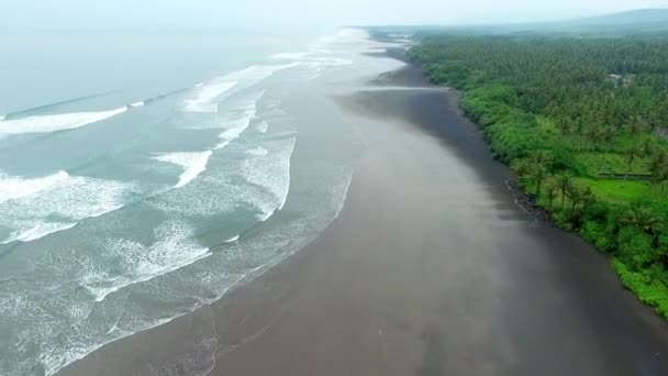 Beautiful Aerial View Beach Black Sand Tropical Jungle — Stock Video