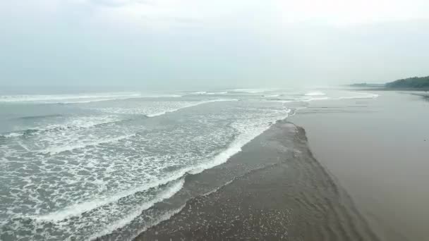 Schöne Luftaufnahme Des Strandes Mit Schwarzem Sand Des Tropischen Dschungels — Stockvideo