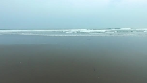 Schöne Luftaufnahme Des Strandes Mit Schwarzem Sand Des Tropischen Dschungels — Stockvideo