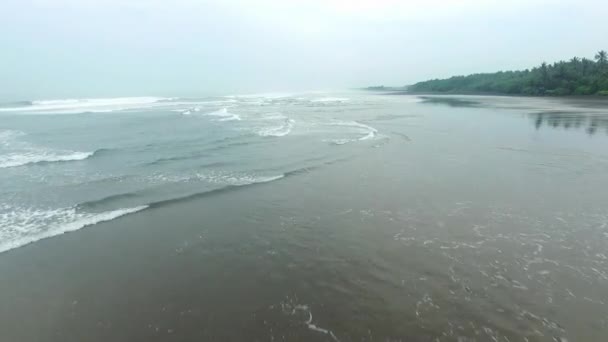 Schöne Luftaufnahme Des Strandes Mit Schwarzem Sand Des Tropischen Dschungels — Stockvideo