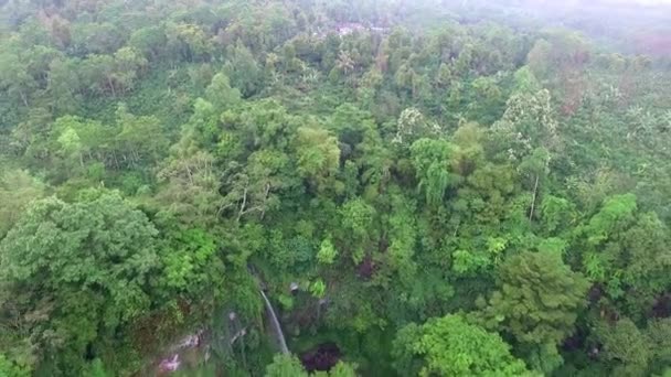 Prachtig Uitzicht Vanuit Lucht Tropische Jungle — Stockvideo