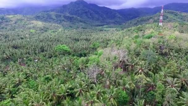 Bella Vista Aerea Della Giungla Tropicale — Video Stock