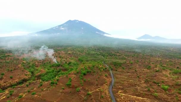 Bella Vista Aerea Sui Campi Secchi Una Giungla Tropicale Vicino — Video Stock