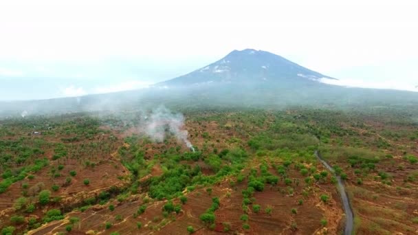Вид Воздуха Засушливые Поля Джунглей Рядом Вулканом — стоковое видео