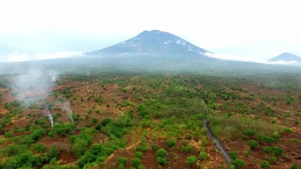 Вид Воздуха Засушливые Поля Джунглей Рядом Вулканом — стоковое видео