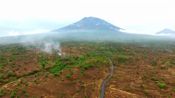 Bella Vista Aerea Sui Campi Secchi Una Giungla Tropicale Vicino — Video Stock