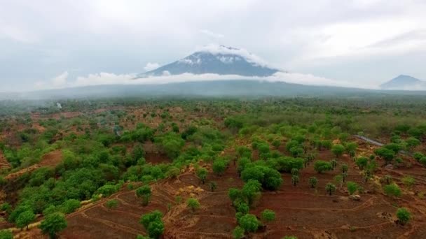 Bella Vista Aerea Sui Campi Secchi Una Giungla Tropicale Vicino — Video Stock