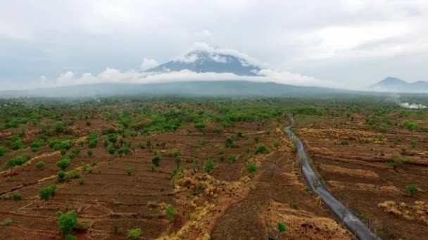 Bela Vista Aérea Sobre Campos Secos Uma Selva Tropical Perto — Vídeo de Stock