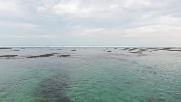 Schöne Luftaufnahme Des Strandes Mit Schwarzem Sand Des Tropischen Dschungels — Stockvideo