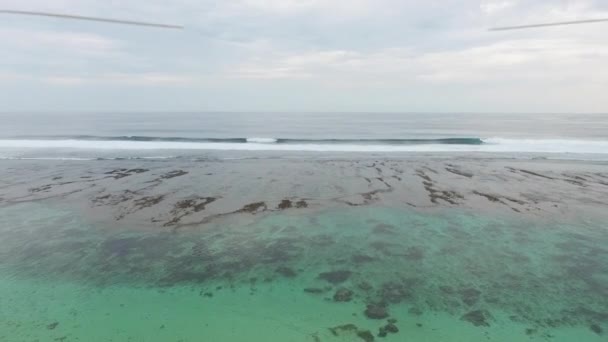 Hermosa Vista Aérea Playa Con Arena Negra Selva Tropical — Vídeo de stock