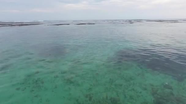 Schöne Luftaufnahme Des Strandes Mit Schwarzem Sand Des Tropischen Dschungels — Stockvideo