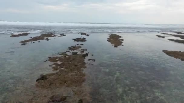 Schöne Luftaufnahme Des Strandes Mit Schwarzem Sand Des Tropischen Dschungels — Stockvideo