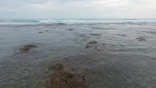 Schöne Luftaufnahme Des Strandes Mit Schwarzem Sand Des Tropischen Dschungels — Stockvideo