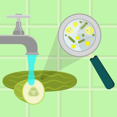 Temizlenmiş ve bir mutfak yıkanmış kirlenmiş salatalık. Mikroorganizmalar, virüs ve bakteri Büyüteç tarafından büyütülmüş sebze. Musluk suyu çalışan.