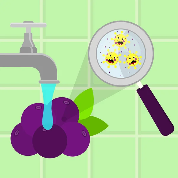 Acai Meyve Temizlenmiş Bir Mutfak Yıkanmış Karikatür Mikroplar Ile Kirlenmiş — Stok Vektör