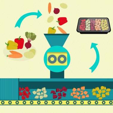 Önceden kesilmiş sebzelerin endüstriyel üretimi. Taze biber, pancar, patates ve havuç işlenebilir ve dilimlenmiş. Dilimlenmiş sebzeler tepside paketlenmiş.