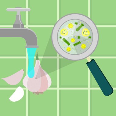 Kontamine sarımsak soğanı ve sarımsak karanfil dezenfekte ediliyor, temizleniyor ve mutfakta yıkandı. Mikroorganizmalar, virüs ve bakteriler büyüteçle büyütülür. Arka planda fayans.