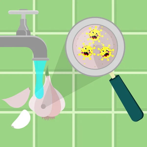 Sarımsak Karikatür Mikroplar Iskalayarak Temizleniyor Mutfakta Yıkanıyor Mikroorganizmalar Virüs Bakterilerin — Stok Vektör