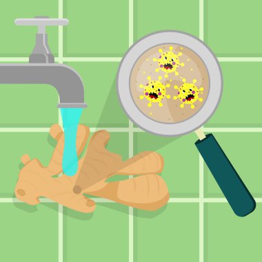 Zencefil karikatür mikropları ile kirlenmiş temizlenir ve bir mutfakta yıkanır. Mikroorganizmalar, virüs ve bakterilerin içinde bulunduğu sebze büyüteçle büyütülür. Akan musluk suyu. Kızgın mikroplar karikatür.