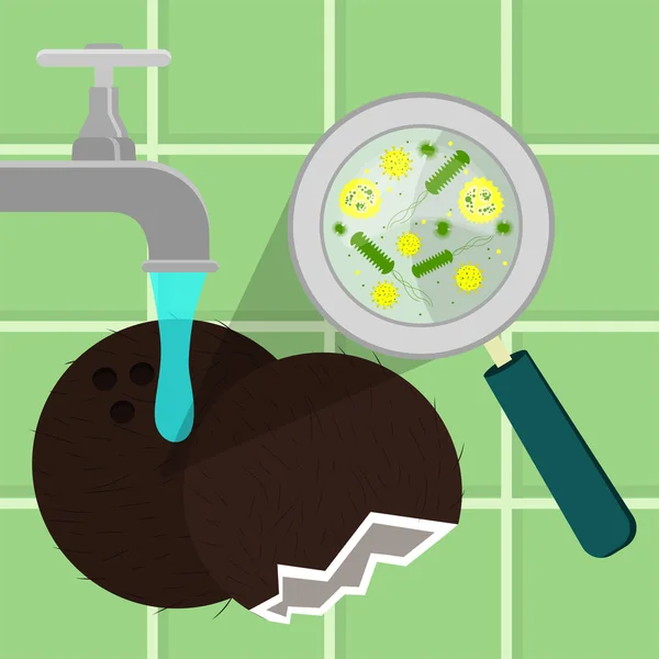Coco Contaminado Sendo Higienizado Limpo Lavado Uma Cozinha Microorganismos Vírus — Vetor de Stock