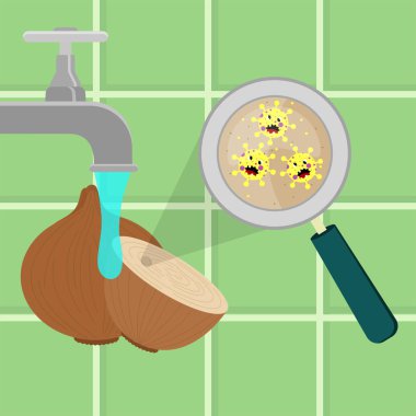 Onion contaminated with cartoon microbes being cleaned and washed in a kitchen. Microorganisms, virus and bacteria in the vegetable enlarged by a magnifying glass. Running tap water. Angry microbes cartoon.
