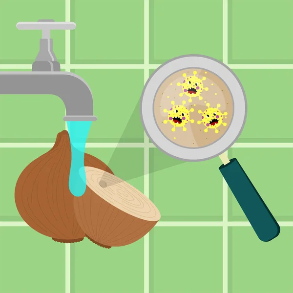 Onion Contaminated Cartoon Microbes Being Cleaned Washed Kitchen Microorganisms Virus — Stockvector