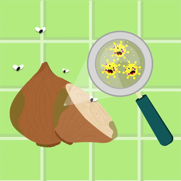 Cebola Contaminada Com Micróbios Desenhos Animados Microorganismos Vírus Bactérias Vegetal — Vetor de Stock