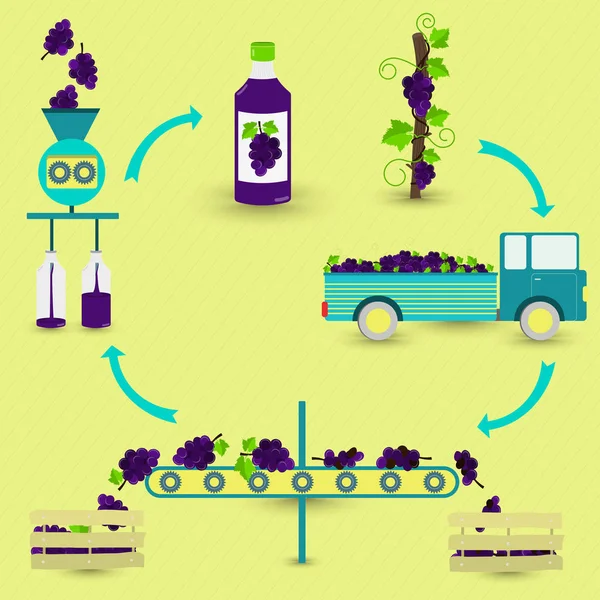 Pasos Producción Jugo Uva Árbol Uva Vendimia Transporte Separación Uvas — Vector de stock