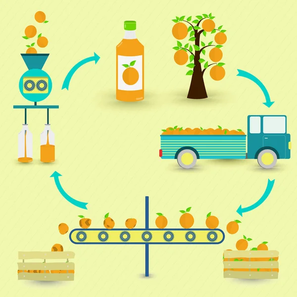 Orange Juice Production Steps Orange Tree Harvest Transport Separation Healthy — Stock Vector