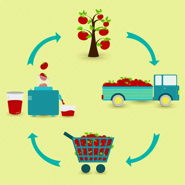 Tomato Juice Production Steps Tomato Tree Harvest Transport Sale Grocery — Stock Vector