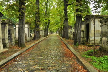 Yağmurdan sonra taş döşeli bir ara sokak. Pere Lachaise mezarlığı. Paris.