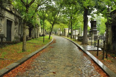 Yağmurdan sonra taş döşeli bir ara sokak. Pere Lachaise mezarlığı. Paris.