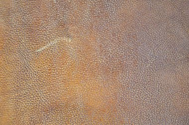 Kahverengi deri yaprak. Arkaplan resmi..