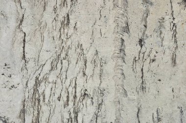 Concrete wall with black patterns. Abstraction. Texture.