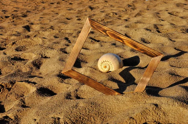 Photo Frame Seashell Sand Beach — 图库照片