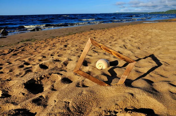 Single Muschel Sandstrand Sea Surf Hintergrund — Stockfoto