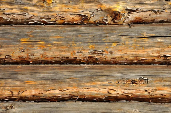 Wood Texture Brown Log Wall Stock Image — Stok fotoğraf