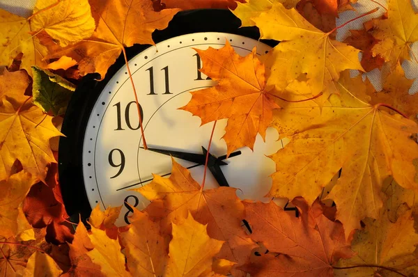 Часы Белым Циферблатом Фоне Осенних Листьев Стоковое Изображение
