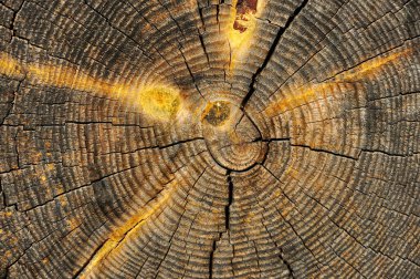 Doğal desenli eski ahşap doku..