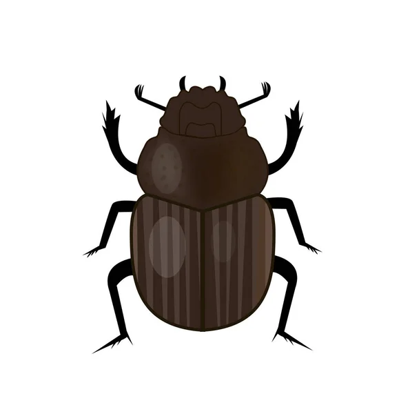 Escarabajo escarabajo insecto icono, de estilo plano. Símbolo del antiguo Egipto. Aislado sobre fondo blanco. Ilustración vectorial — Archivo Imágenes Vectoriales