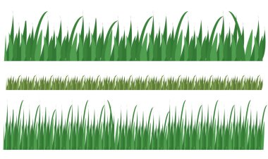 Yeşil çim uzun bayrak kenarı, bitki süsleme elementi. Vektör illüstrasyonu.