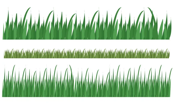 Zöld fű hosszú zászló határ, növények dekorációs elem. Vektorillusztráció. — Stock Vector