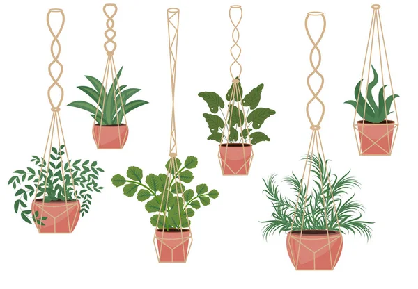 Fleurs dans un pot de macramé, style scandinave moderne, décoration intérieure. Plantes suspendues. Illustration vectorielle — Image vectorielle