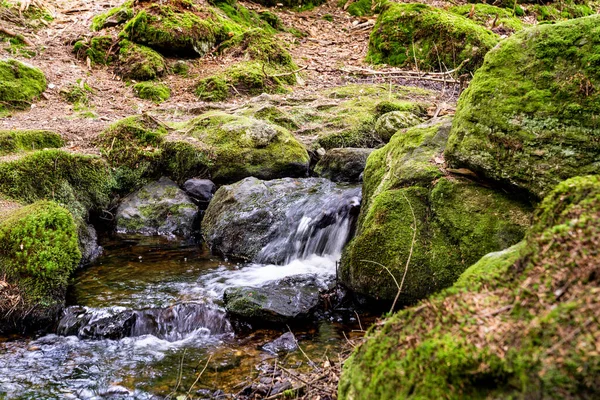 Wasserfall Wald Und Grünes Moos Auf Felsen — Stockfoto