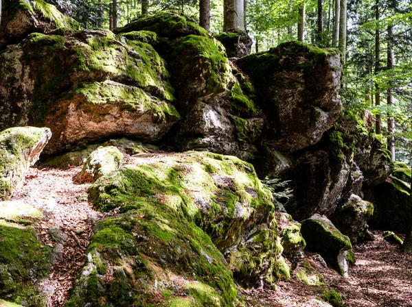 苔で森の中の岩場 ロイヤリティフリーのストック写真