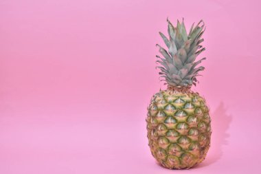Pastel arka planda izole edilmiş bir ananas kapat.