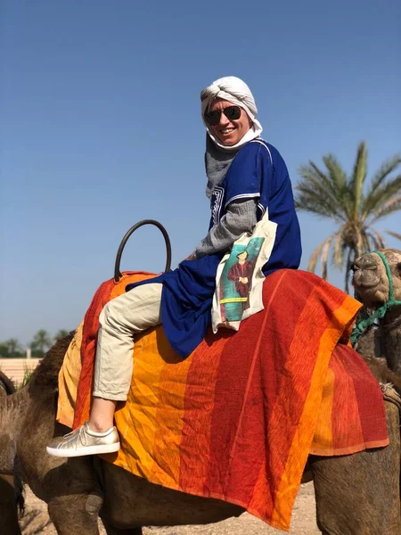 Mulher turística monta um camelo durante o passeio de camelo turístico. — Fotografia de Stock