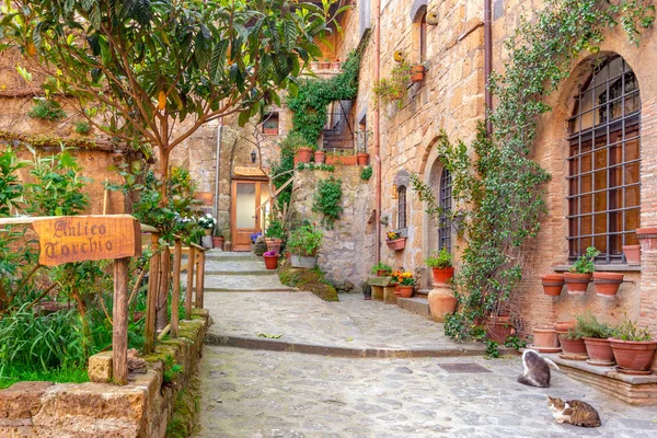 Hermoso callejón en Toscana, Casco antiguo, Italia — Foto de Stock