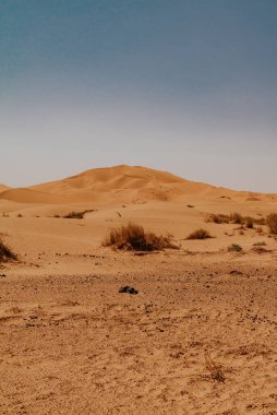 Fas - 28 Eylül 2019: Merzouga, Fas 'taki güzel çöl manzarası